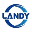 Landy Pool Google Logo